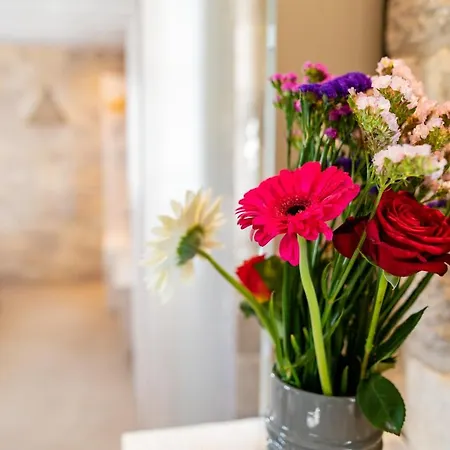 Willa The Windmill *